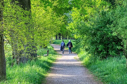 Pensioners walking in a wood