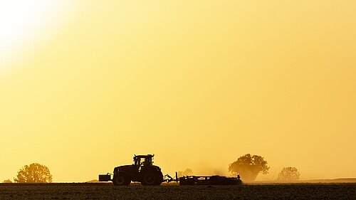 ploughing at sunset